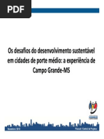 OsdesafiosCampoGrande - PERFIL.pdf
