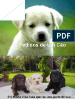 10 Pedidos de Um Cao