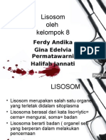 Lisosom Kel 8