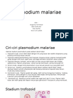 Plasmodium Malariae