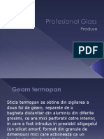 Produse Profesional-Glass