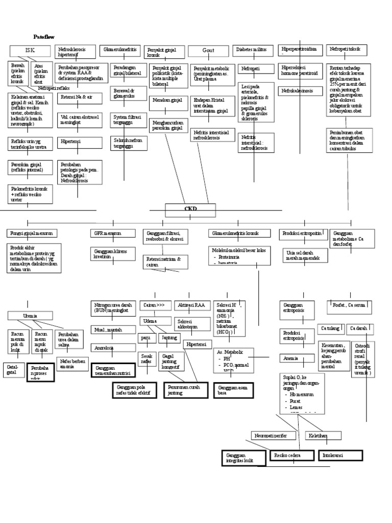 Patoflow | PDF