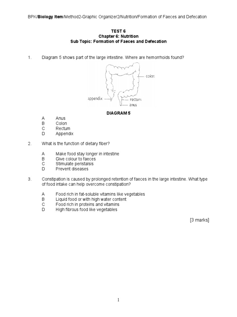 Nutrition: Formation of Faeces & Defecation | PDF | Wellness