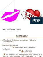 Puberdade PDF