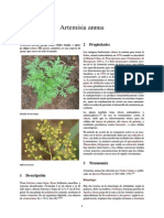 Artemisia Annua - Cura Cancer PDF