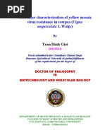 Download Molecular Characterization of Yellow Mosaic Virus Resistance by tdgioi SN26246989 doc pdf