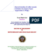 Molecular Characterization of Yellow Mosaic Virus Resistance