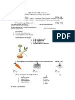 0_eval_organele_vegetative_si_de_inmultire.doc.doc