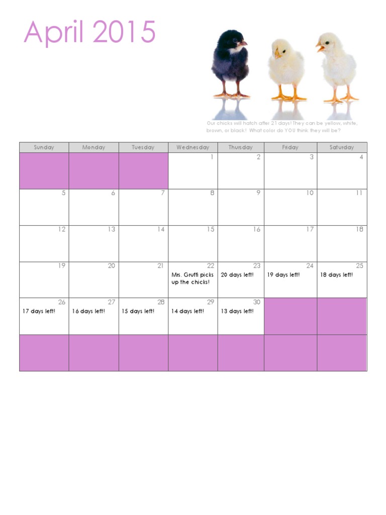 Chick Hatching Countdown Calendar | PDF