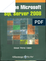 Domine Microsoft SQL Server