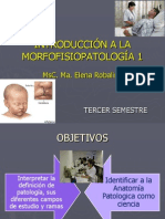 Presentacion 1 Introducción A La Morfofisiopatologia
