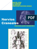 Nervios Craneales VII-XII