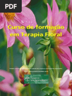 Introdução Florais