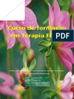 Introdução Florais