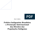 Política indigenista.