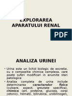 Explorarea Aparatului Renal