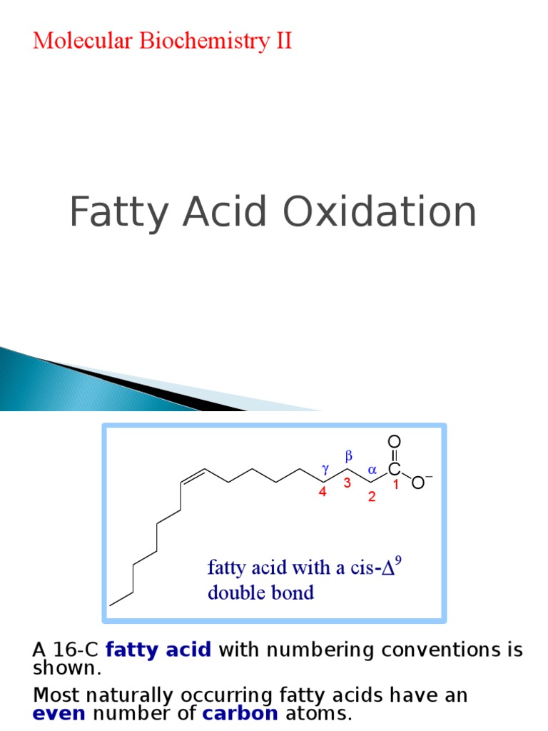 Fatty Acid Oxidation | PDF | Citric Acid Cycle | Diet & Nutrition