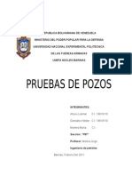 Algo de Pruebas de Pozos