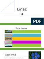 Linaza 