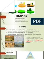 Os principais biomas do mundo e do Brasil