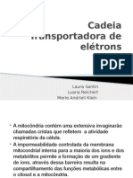 Cadeia Transportadora de Elétrons Apresentação