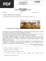 Prueba Mixta y RAD 4° Básico Lenguaje