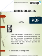 FENOMENOLOGIA - Slides