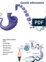 DNA Structure