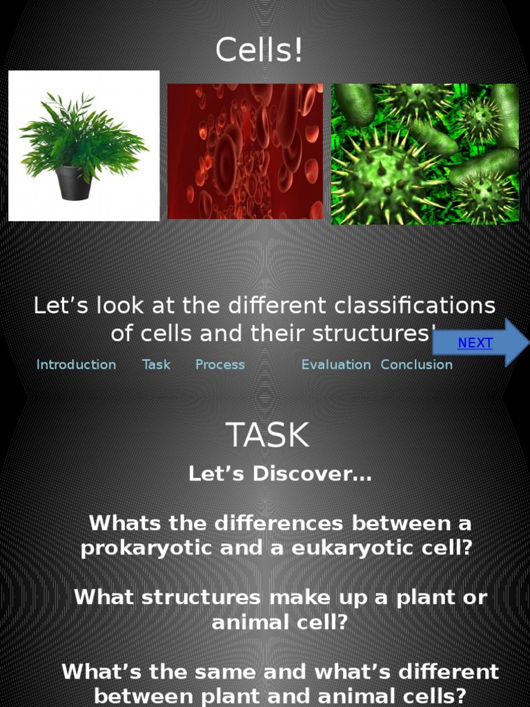 Cell Classifications and Structures Guide | PDF