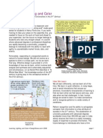 fielding_light-learn-color.pdf