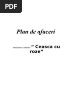 Plan de Afaceri cafenea