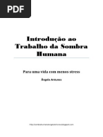 Introdução Ao Trabalho Da Sombra