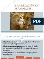 La Relación en Animales