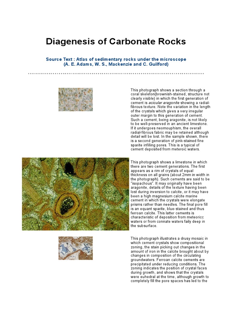 Carbonate Rock Diagenesis Insights | PDF | Limestone | Sedimentary Rock