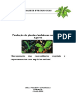 Relatorio Elisabete Dias Producao Plantas Endemicas