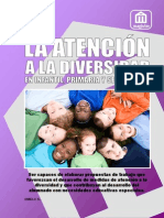 ANFAP-MAGISTER Atencion A La Diversidad I y P 09