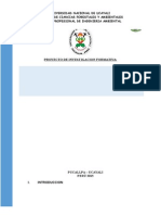 Informe Final Consolidado