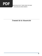 Referat Dreptul Comunitar Al Afacerilor