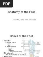 MTP and IP Joint Overview in Foot | PDF | Foot | Toe