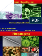 Bacteriaspresentationclase 130226094915 Phpapp01