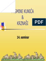 Pasmine Kunica Krznasi 14 Sem