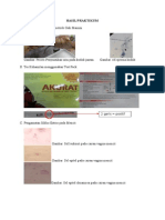 Laporan Fisiologi Hewan Reproduksi