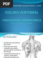 Cinesiologia - Coluna Vertebral - Márcia