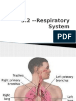 Unit B Section - 3 2 Respiratory System Student