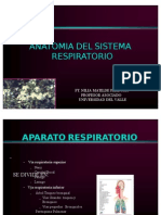 Anatomía Del Sistema Respiratorio