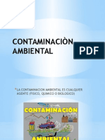 Contaminaciòn Ambiental