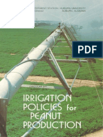Irrigation Policies for Peanut Production