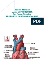TEC 02 Cardiovascolare