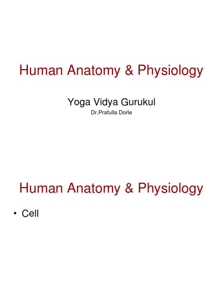 Human Anatomy PDF | PDF | Human Body | Human Digestive System