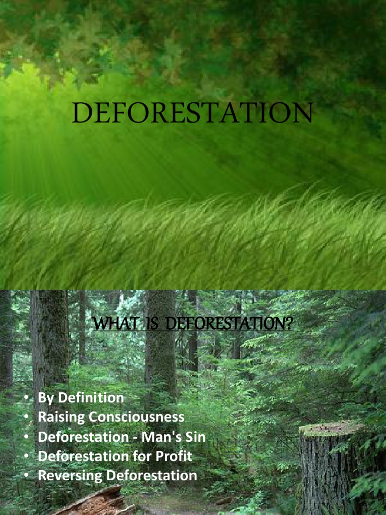 Final Deforestation Ppt | Deforestation | Rainforest